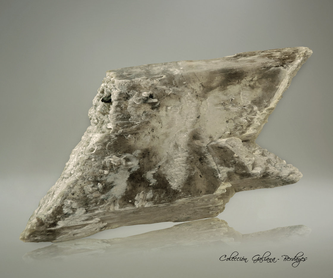 Yeso
108 x 58 x 35 mm.
(Autor: Rafael Galiana)