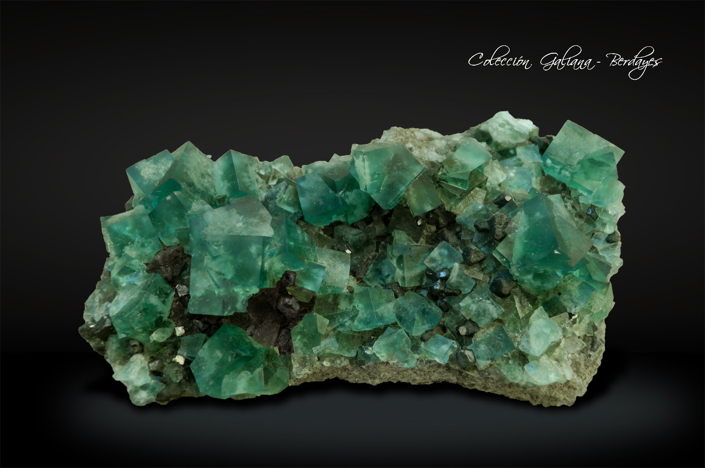 Fluorita con Galena
102 x 61 x 26 mm.
(Autor: Rafael Galiana)