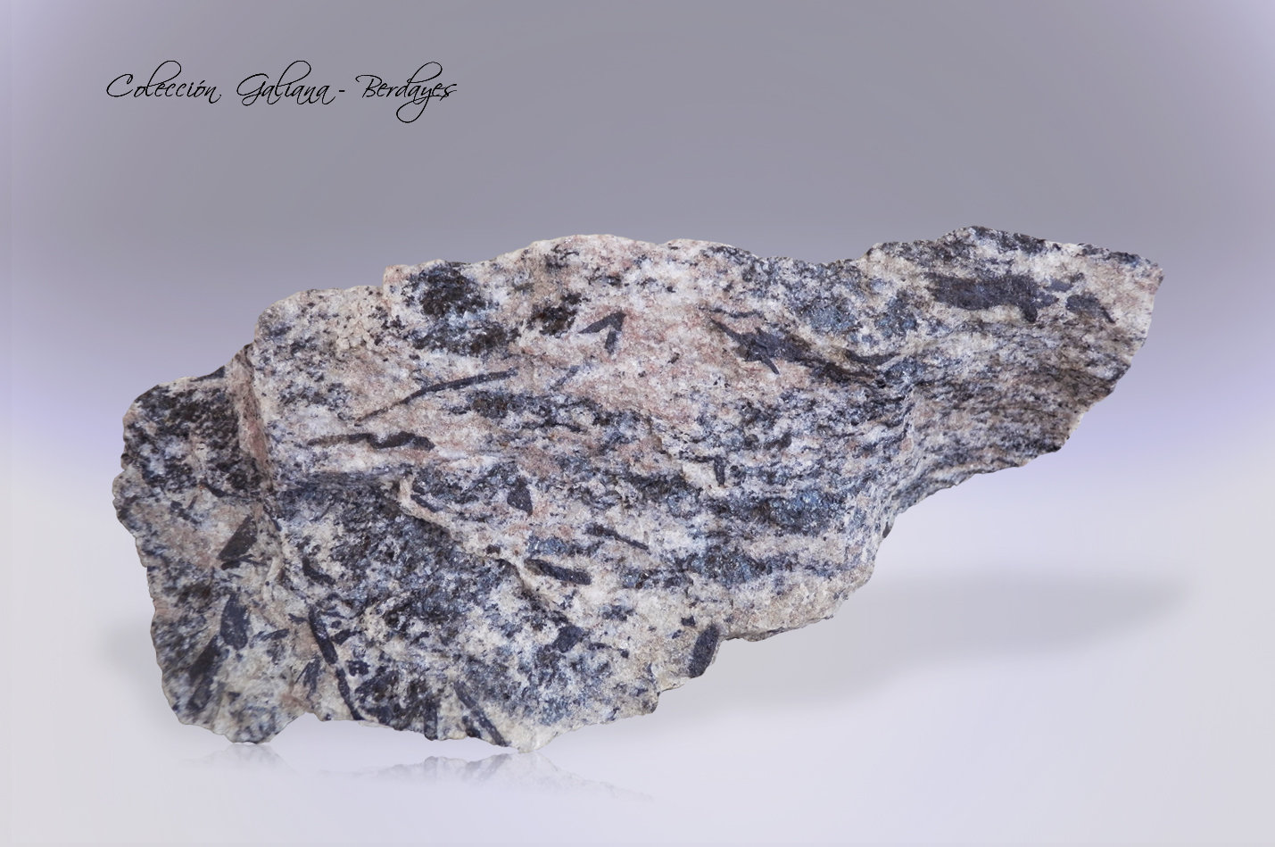 Høgtuvaíta
101 x 36 x 16 mm.
(Autor: Rafael Galiana)