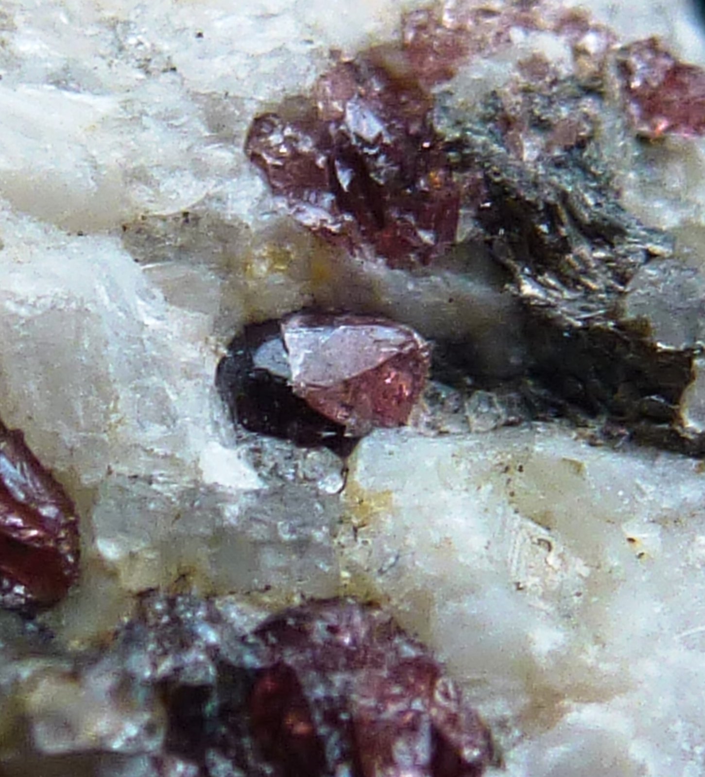 Almandino (Grupo Granate)
0,1 cm.
(Autor: javier ruiz martin)