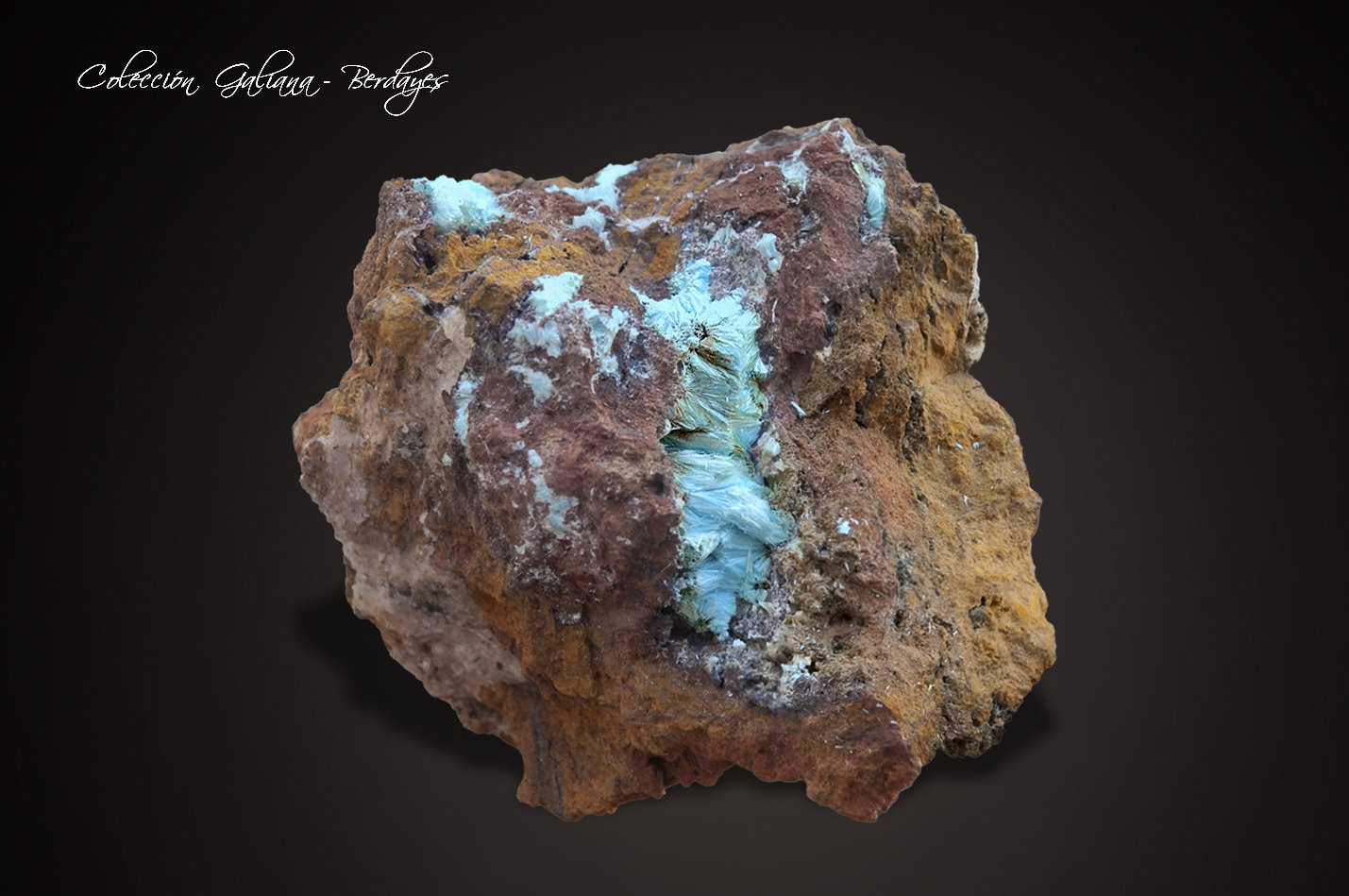 Mixita
57 x 48 x 28 mm.
(Autor: Rafael Galiana)