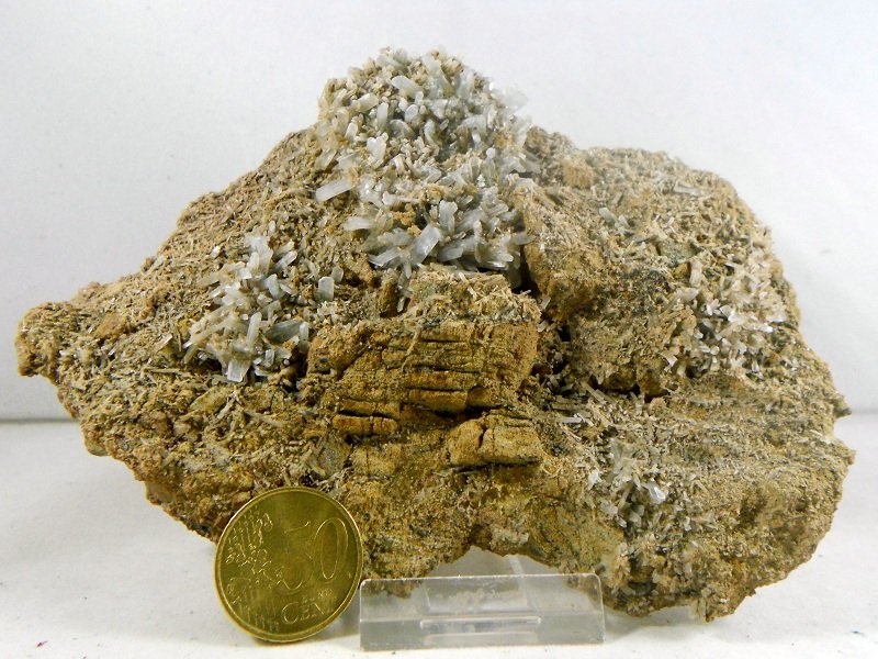 Celestina
150x110x15 mm
(Autor: Luis Ramón Coves)