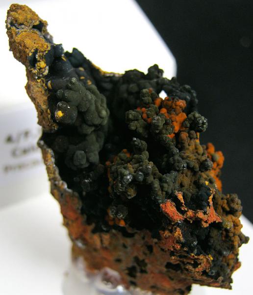 Calcofanita
5x3 cm.
(Autor: supertxango)