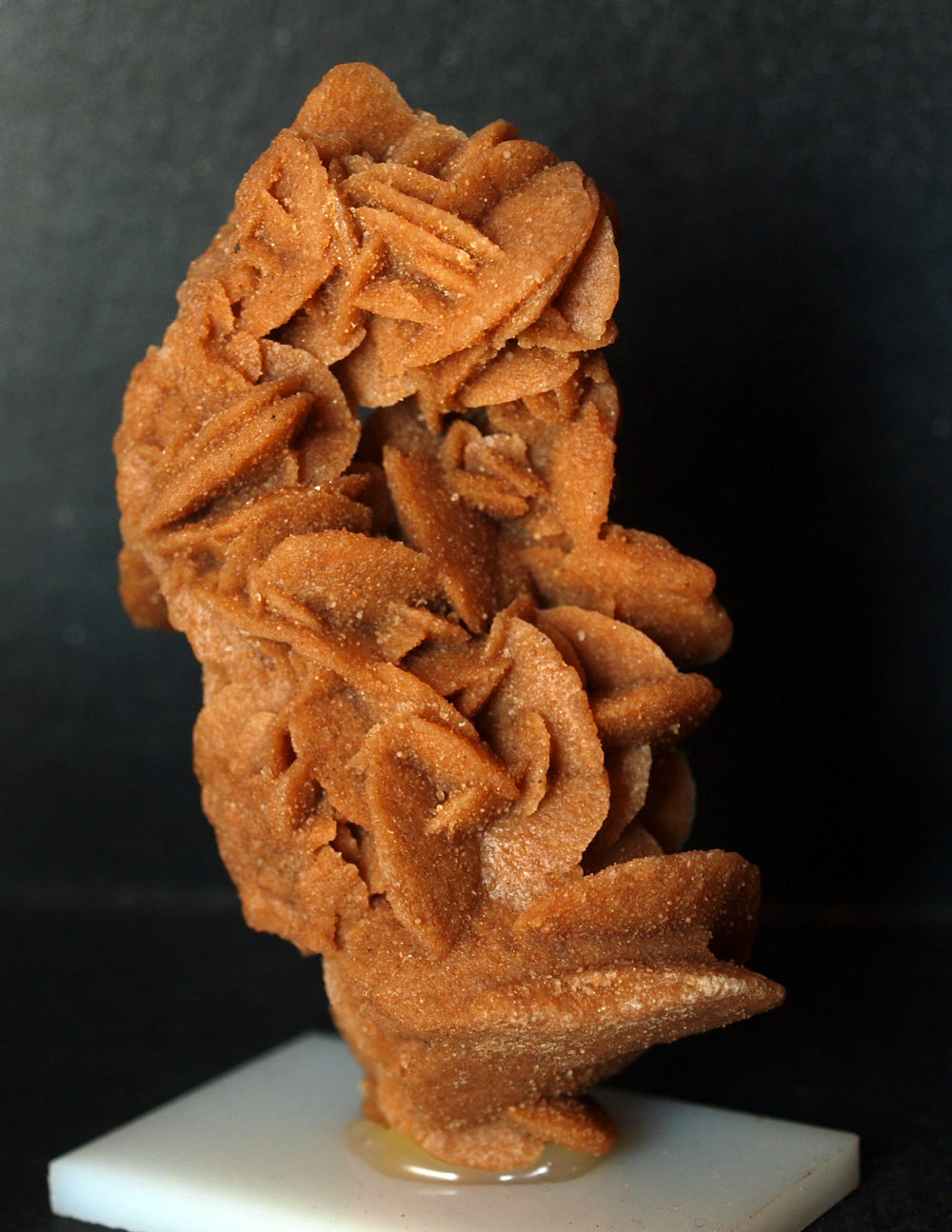 Yeso
8.5 x 4 cm
(Autor: Pedro Antonio)