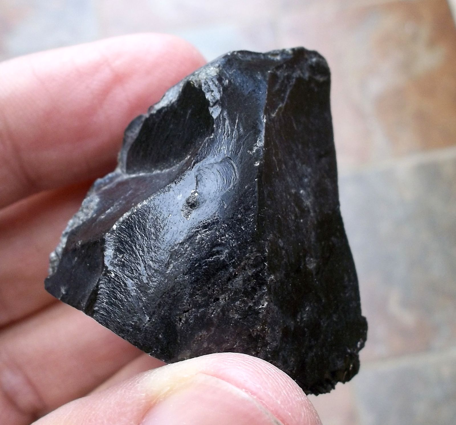 obsidiana
3,5 x 3 cm
(Autor: Cristalino)