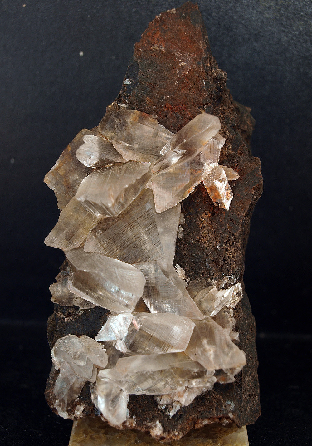 Yeso
12 x 5.5 cm
(Autor: Pedro Antonio)