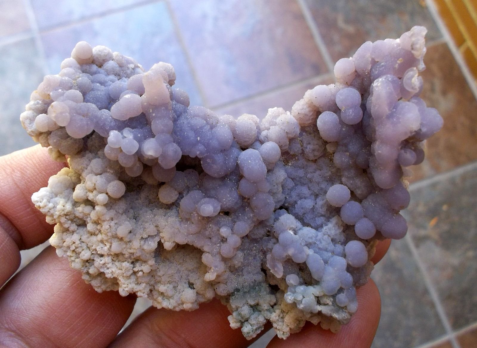 Cuarzo (variedad calcedonia)
6,5 x 4,5 cm
(Autor: Cristalino)