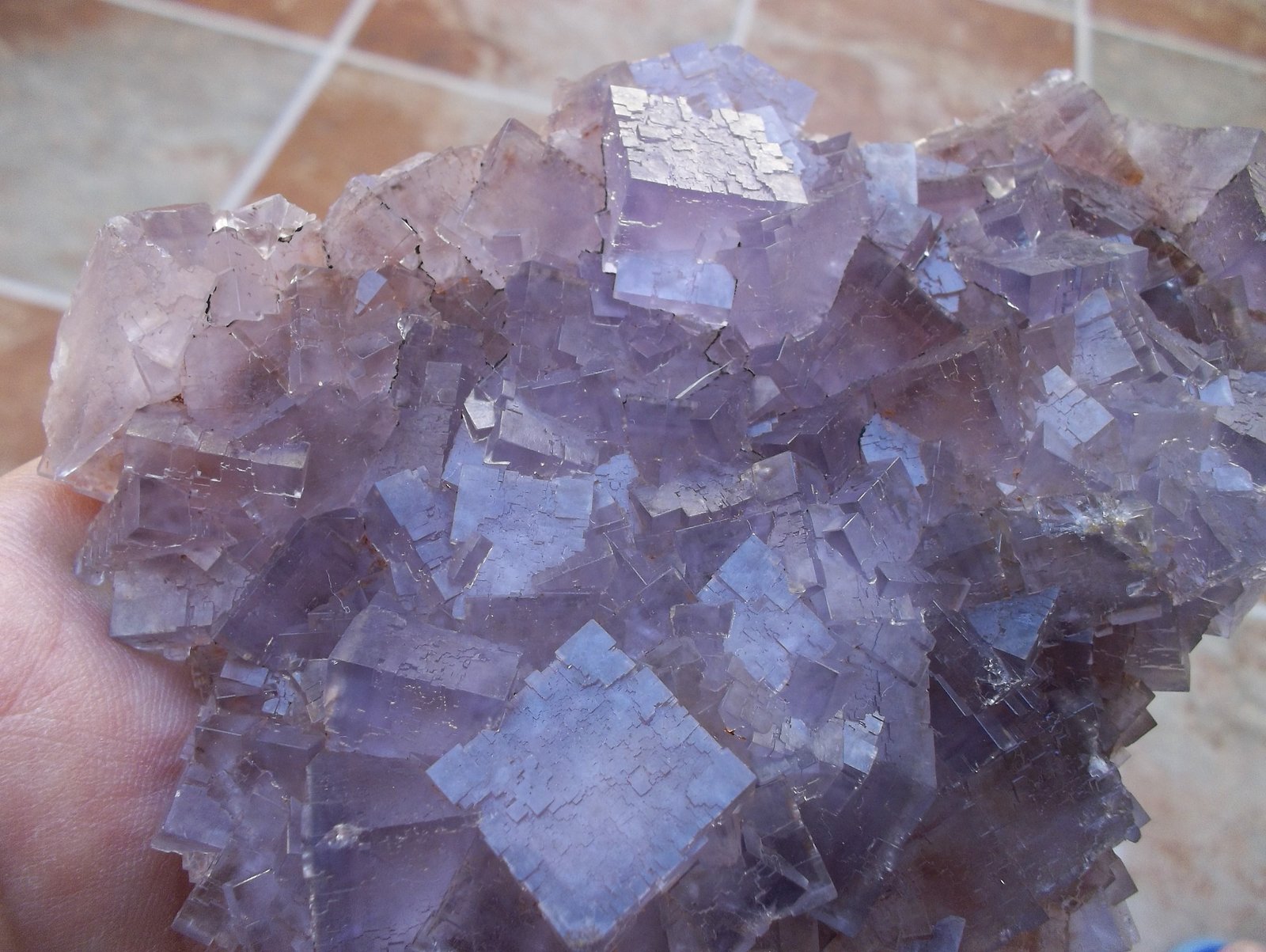 Fluorita
12 x 9 cm
(Autor: Cristalino)