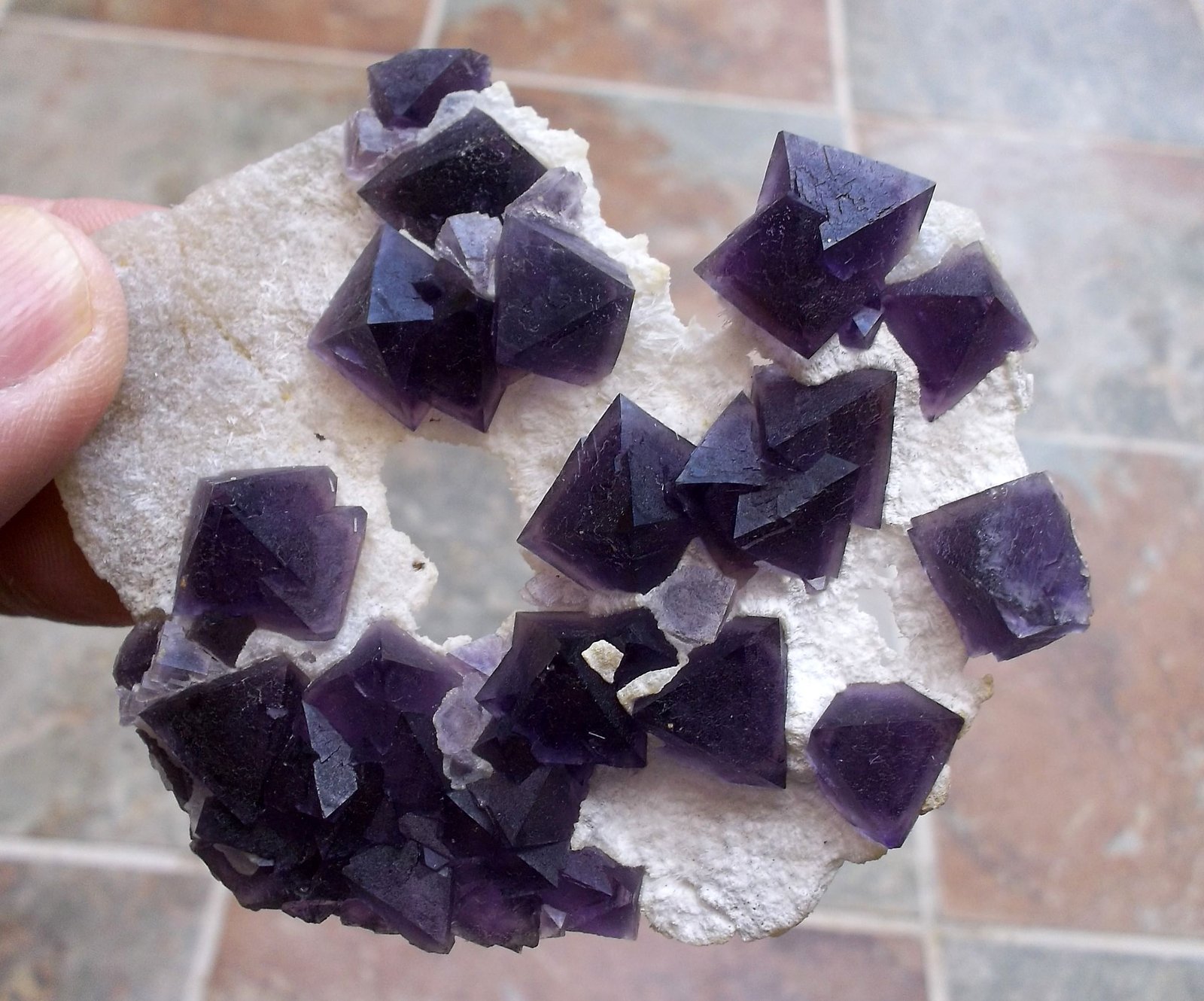 Fluorita
8 x 6,8 cm
(Autor: Cristalino)