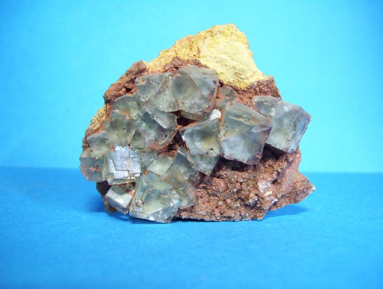 Fluorita
5,5 x 4,5cm. (El cristal mayor mide 1cm.)
(Autor: Darío Menéndez)