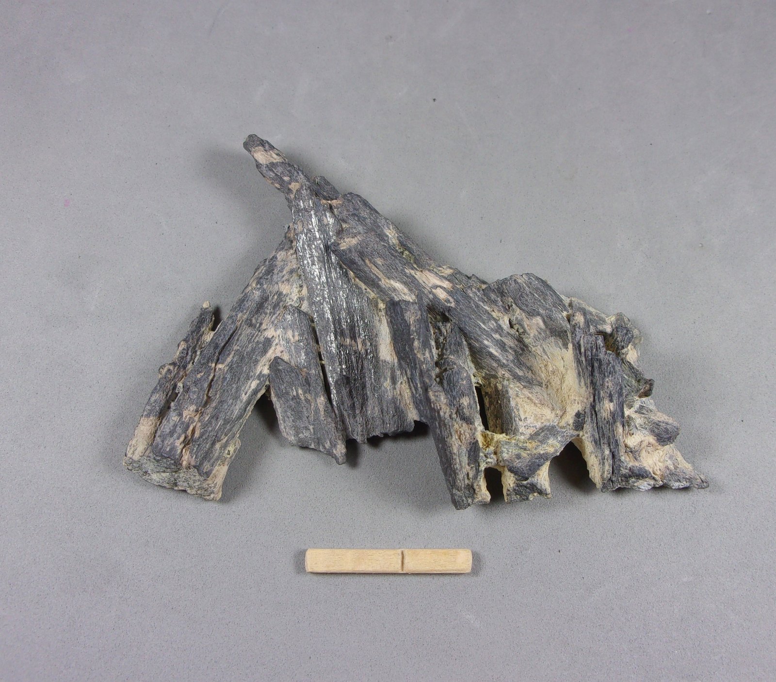 Bismuthinita (Bismutinita)
9 x 6 x 2,3 cm.
(Autor: J. G. Alcolea)