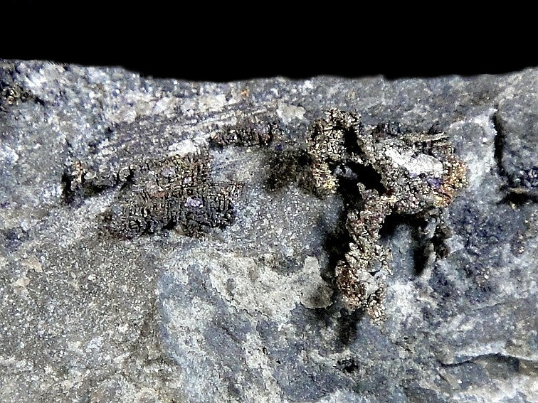 Plata
Campo de visión 2,5 cm.
(Autor: Antonio P. López)