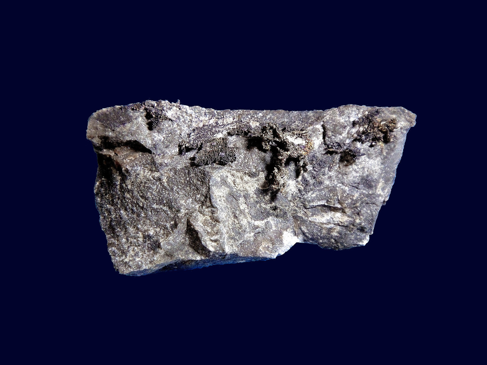Plata
5,5 x 3 cm.
(Autor: Antonio P. López)