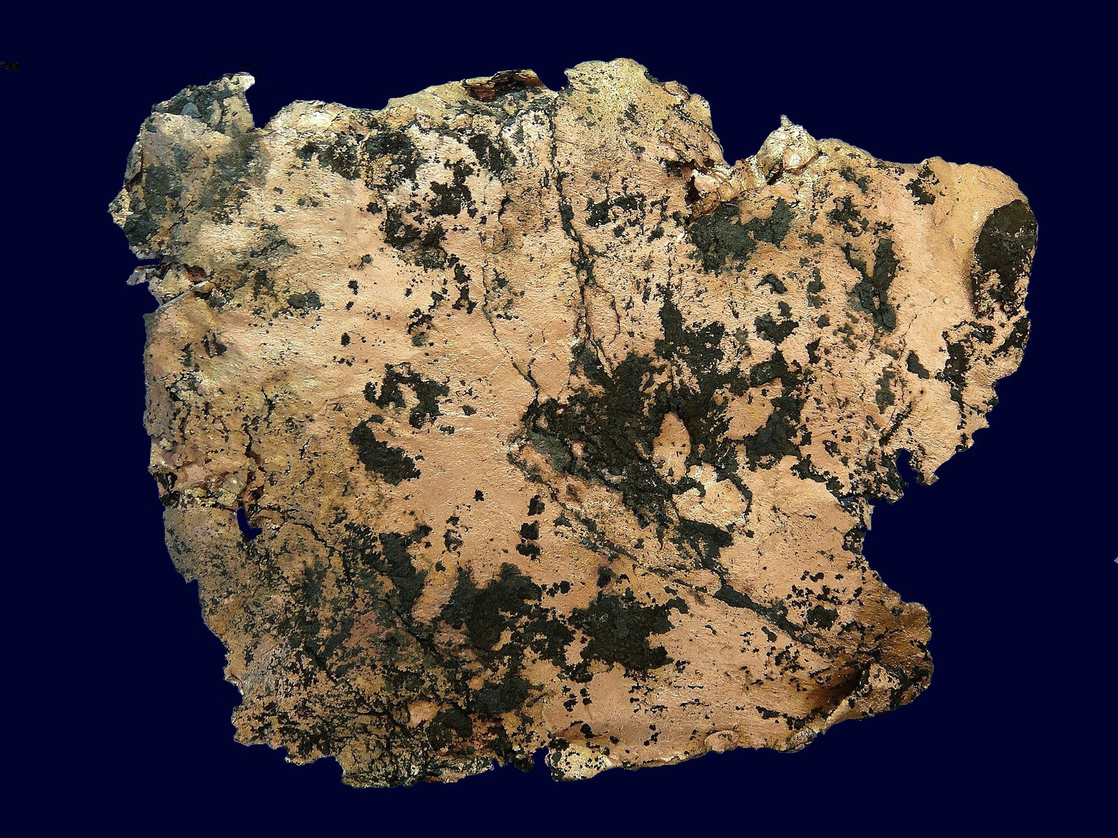Cobre
20 x 15 cm.
(Autor: Antonio P. López)