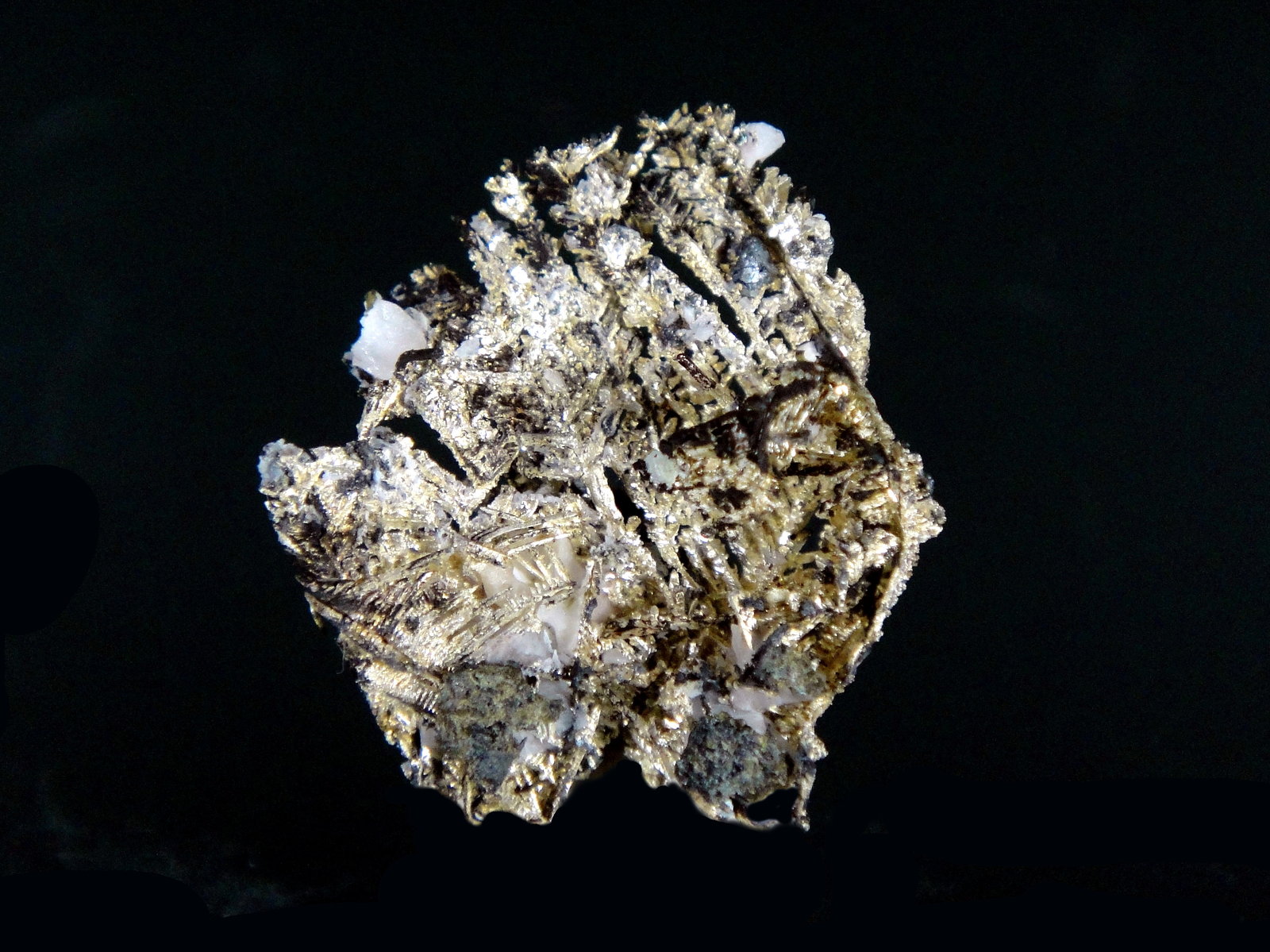 Plata
3 x 2 cm.
(Autor: Antonio P. López)