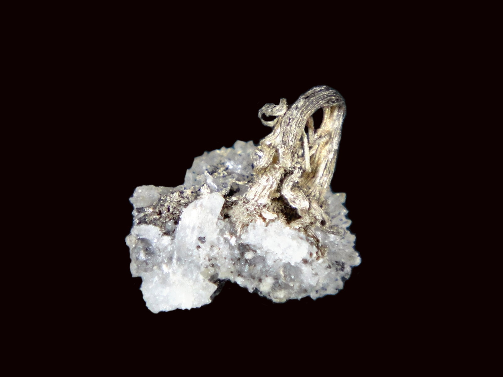 Plata
2 x 2 cm.
(Autor: Antonio P. López)