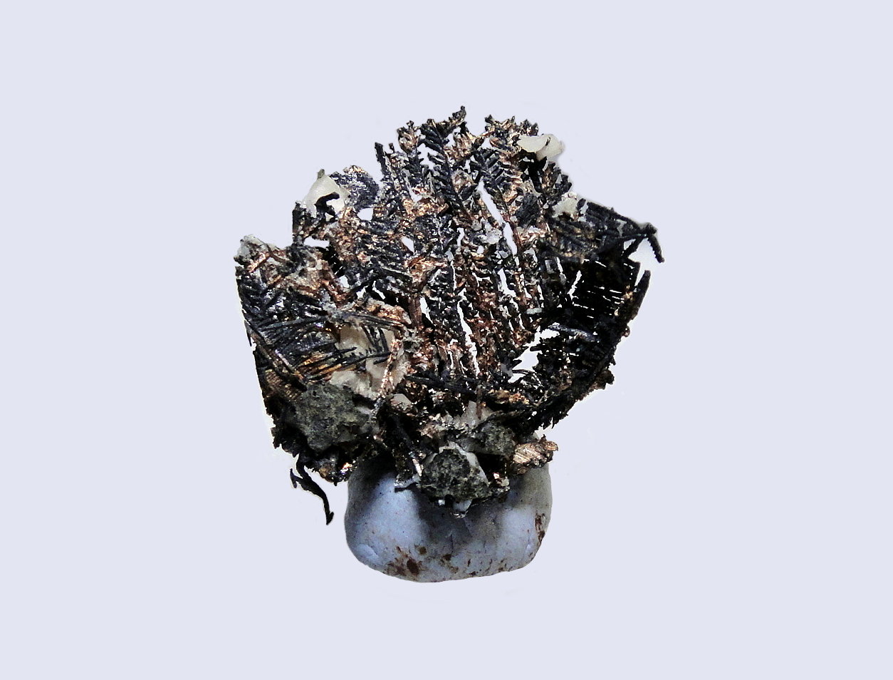 Plata
3 x 2 cm.
(Autor: Antonio P. López)