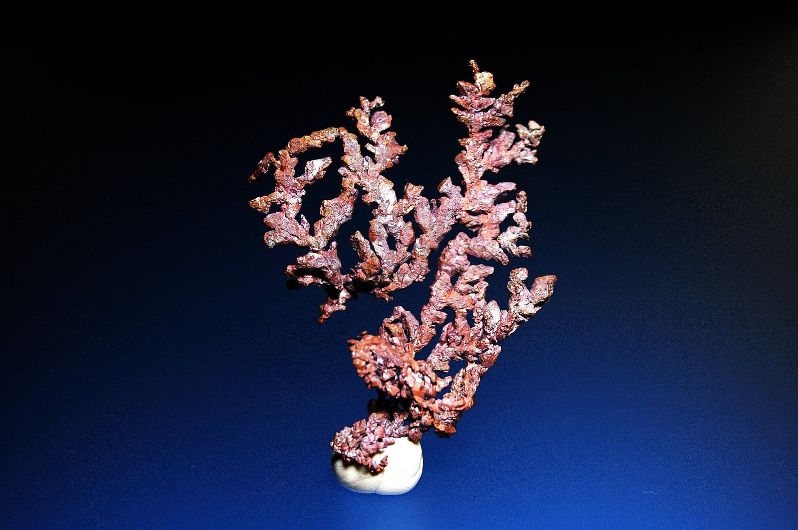 Cobre
7 x 5 cm.
(Autor: Antonio P. López)