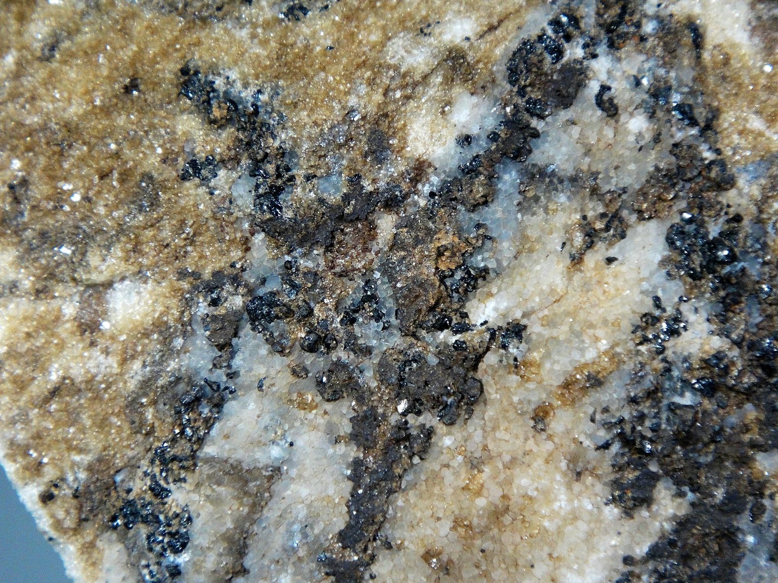 Plomo y Hausmannita
Campo de visión 4 cm.
(Autor: Antonio P. López)