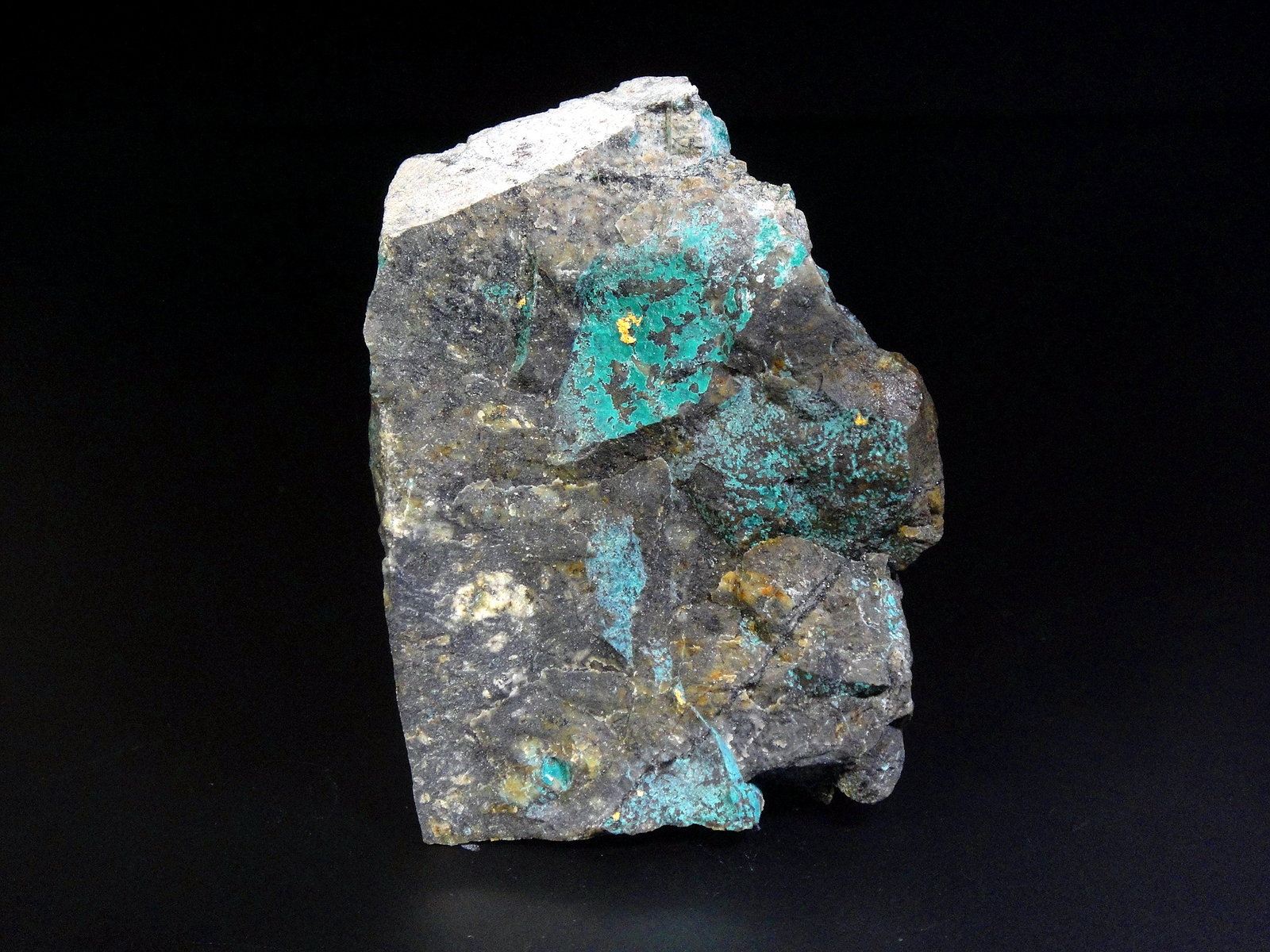 Oro, Boleíta
7 x 5 cm.
(Autor: Antonio P. López)