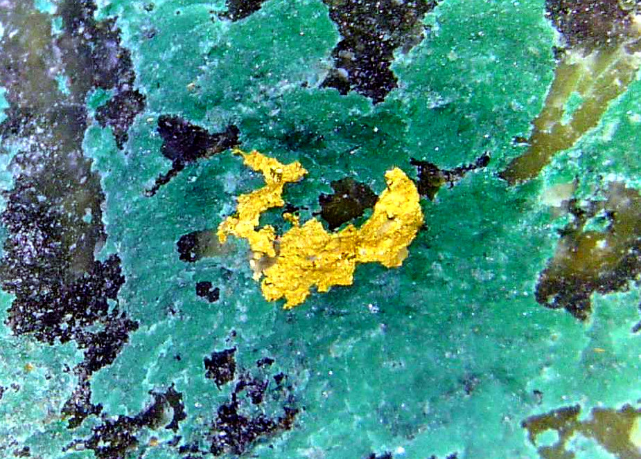 Oro, Boleíta
Campo de visión 10 mm.
(Autor: Antonio P. López)