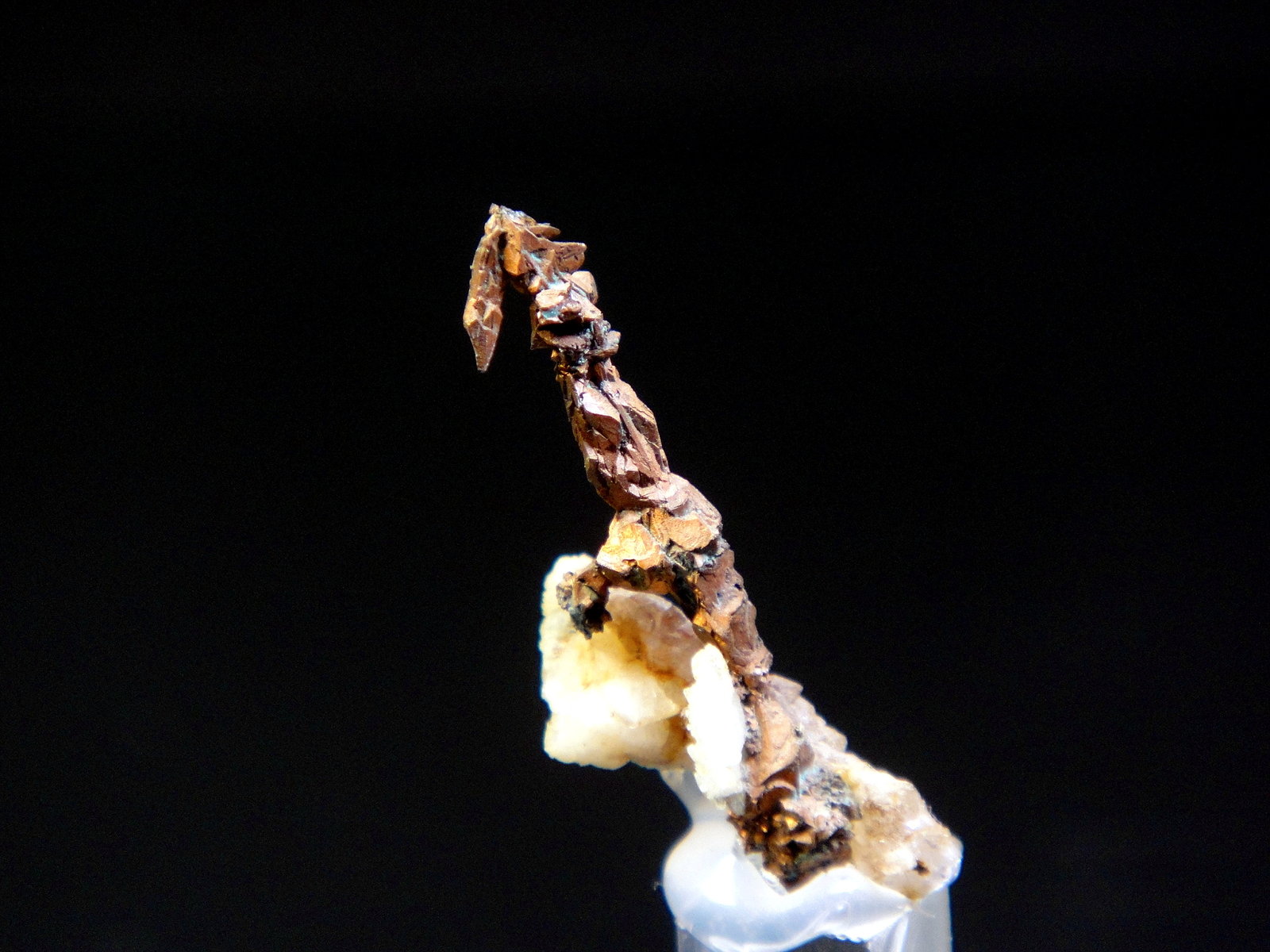 Cobre
2,4 x 0,8 cm.
(Autor: Antonio P. López)