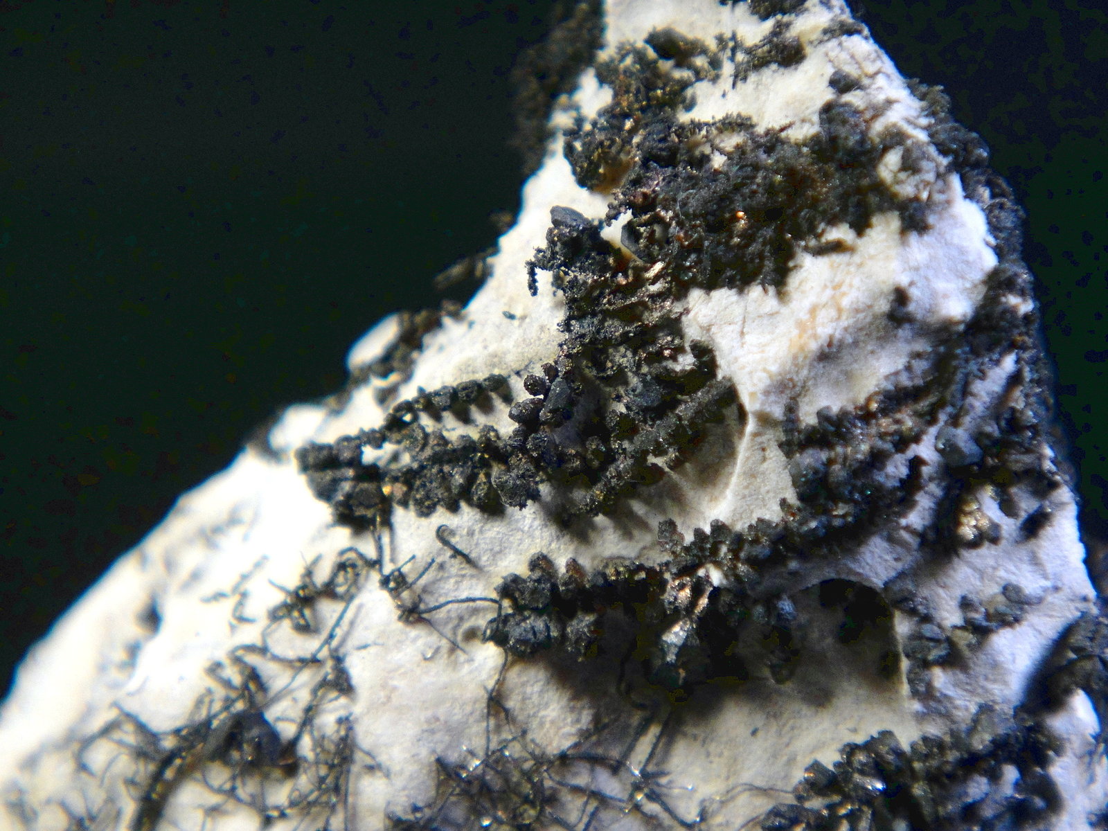 Plata y Acanthita (Acantita)
Campo de visión 4 cm.
(Autor: Antonio P. López)