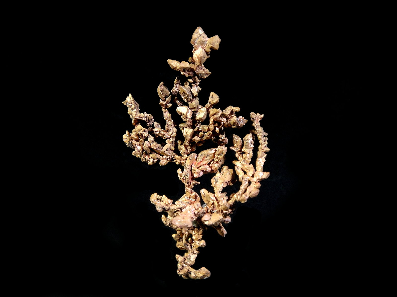 Cobre
4,5 x 2,5 cm.
(Autor: Antonio P. López)