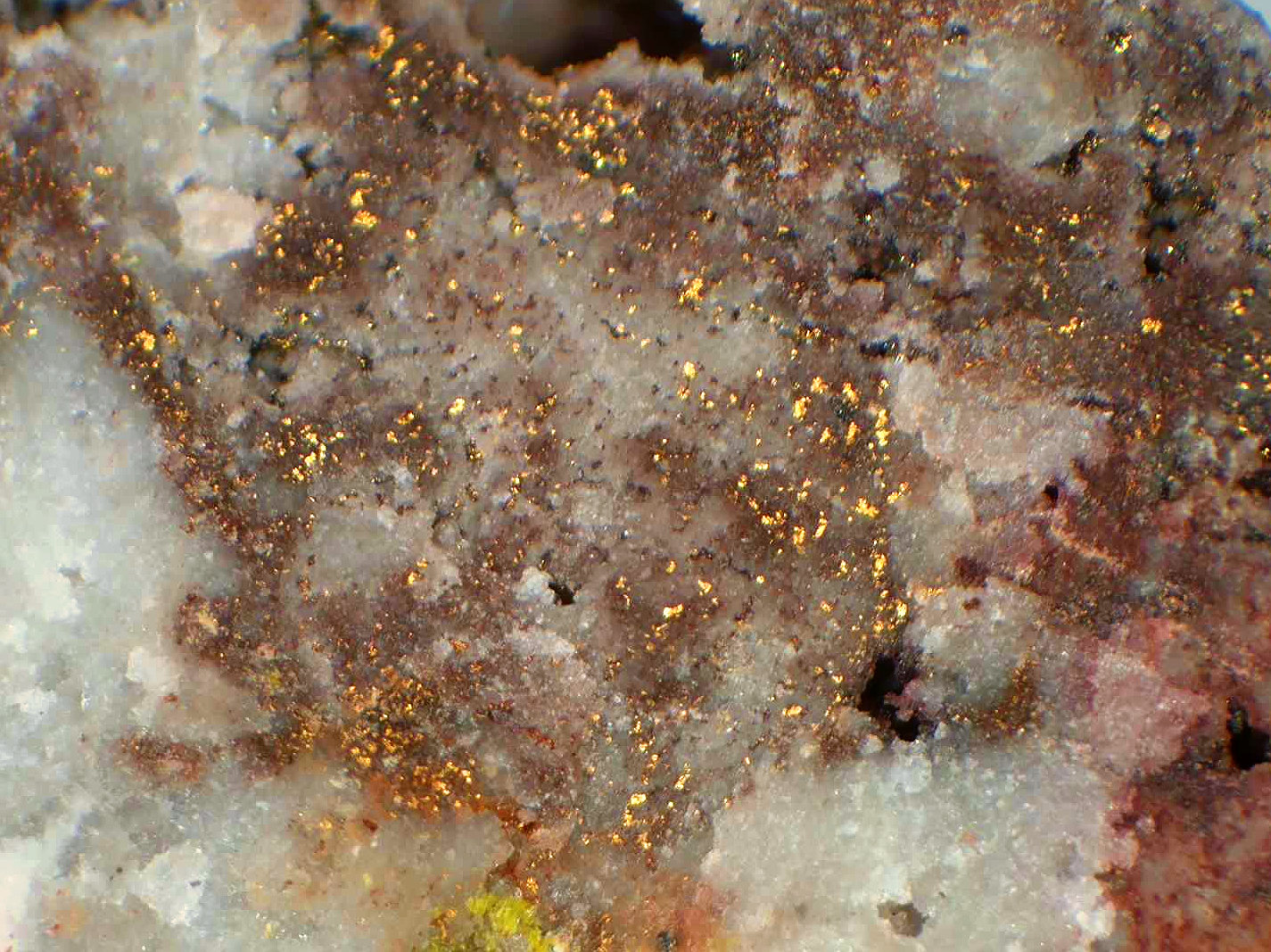 Oro, Rodalquilarita
Campo de visión 12 mm.
(Autor: Antonio P. López)