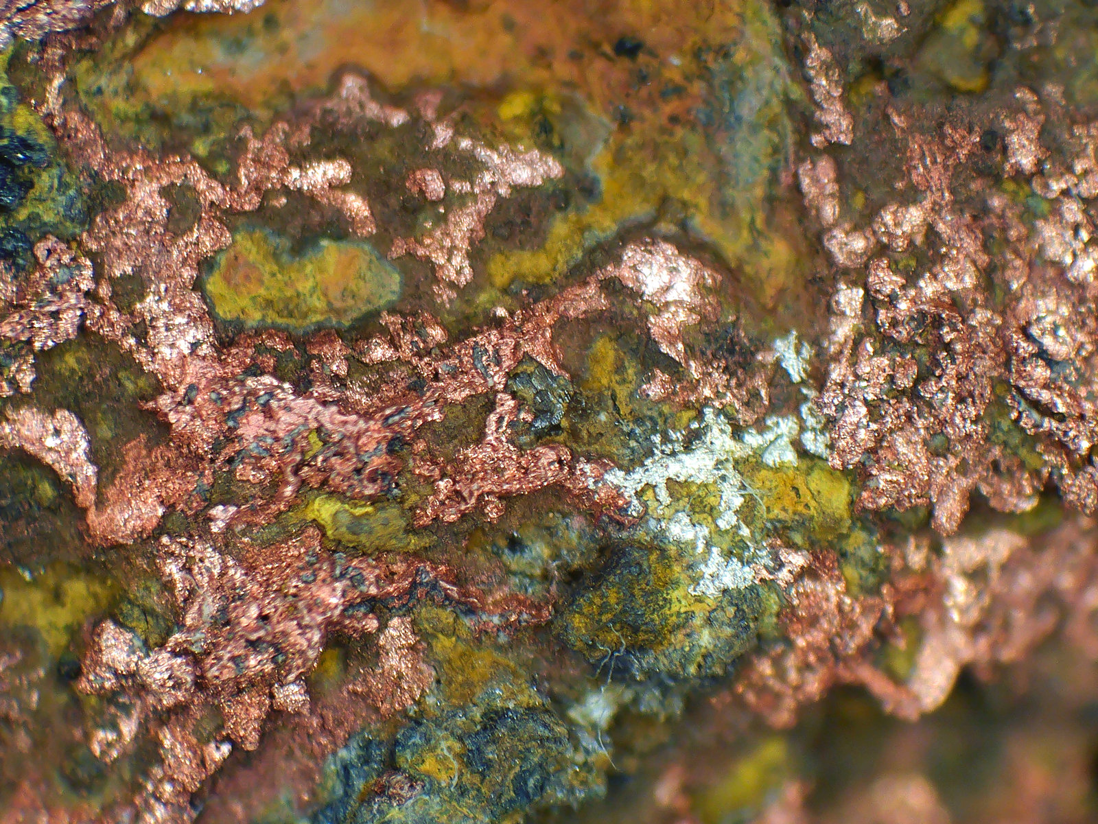 Cobre, Plata
Campo de visión 10 mm.
(Autor: Antonio P. López)