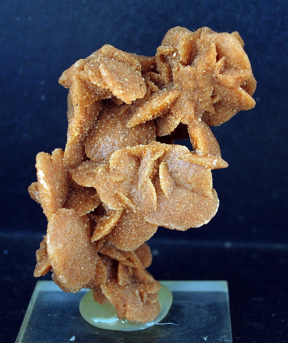 Yeso
8 x 6 cm.
(Autor: Pedro Antonio)