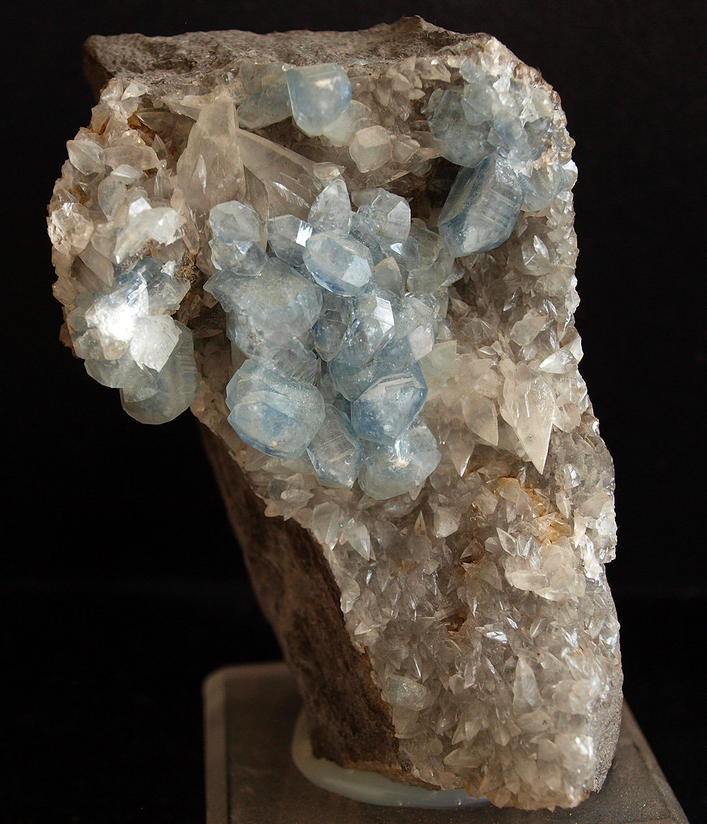 Celestina
10 x 6 cm
(Autor: Pedro Antonio)