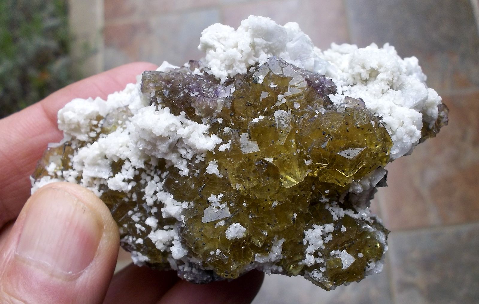 Fluorita, dolomita y barita
8 x 4 cm
(Autor: Cristalino)