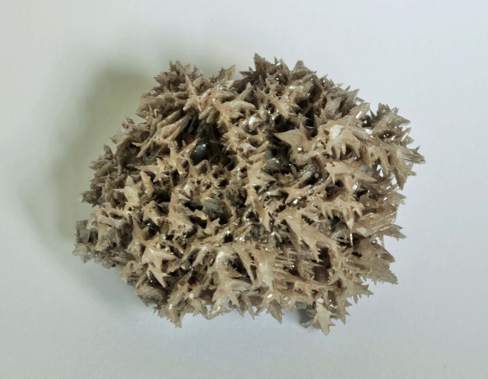 Cerusita
5,3 x 3,2 x 2,2 cm
(Autor: Raúl S. Llorente)