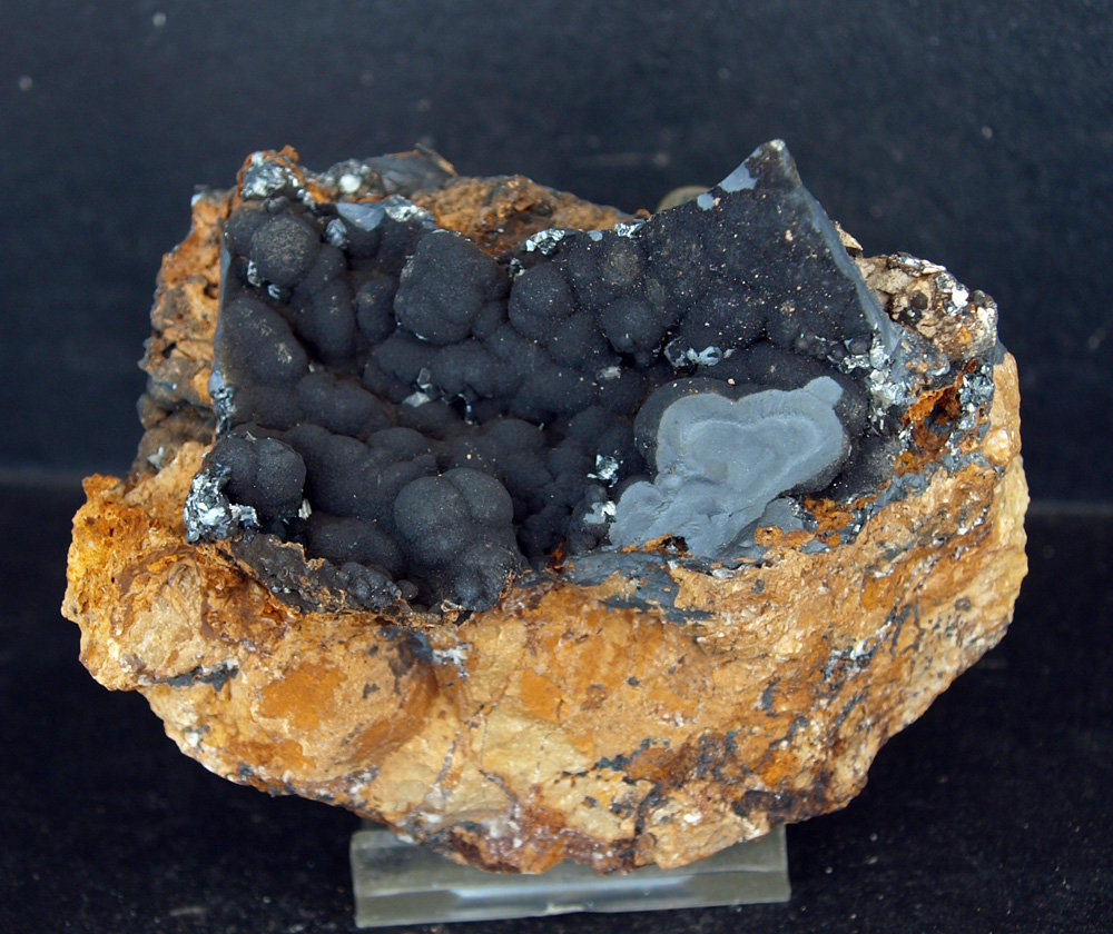 Psilomelana
8 x 6.5 cm
(Autor: Pedro Antonio)