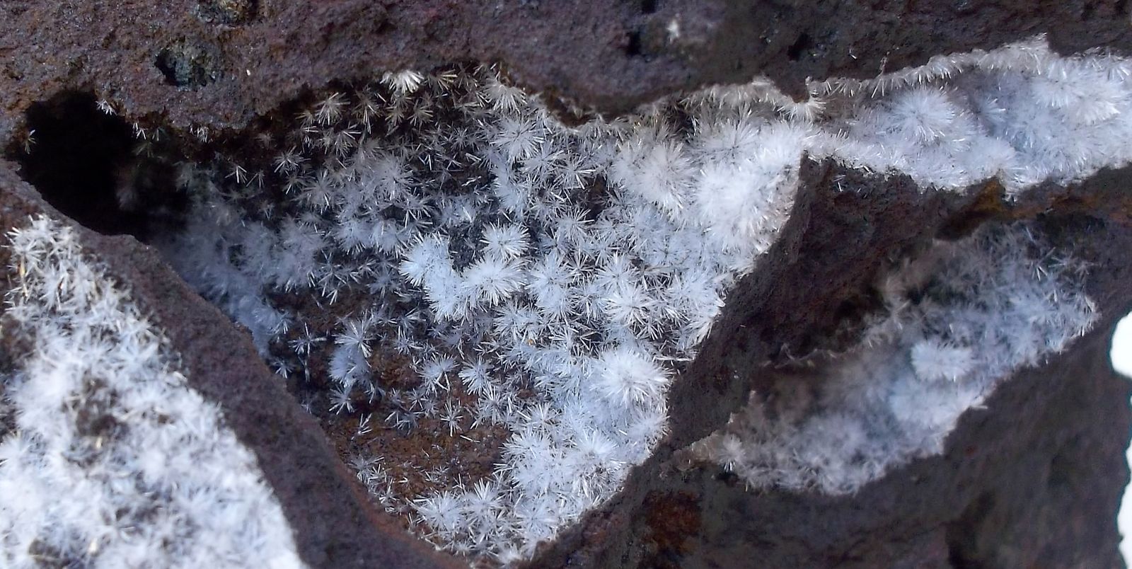 Wavellita
5 x 5 cm (la pieza)
(Autor: Cristalino)