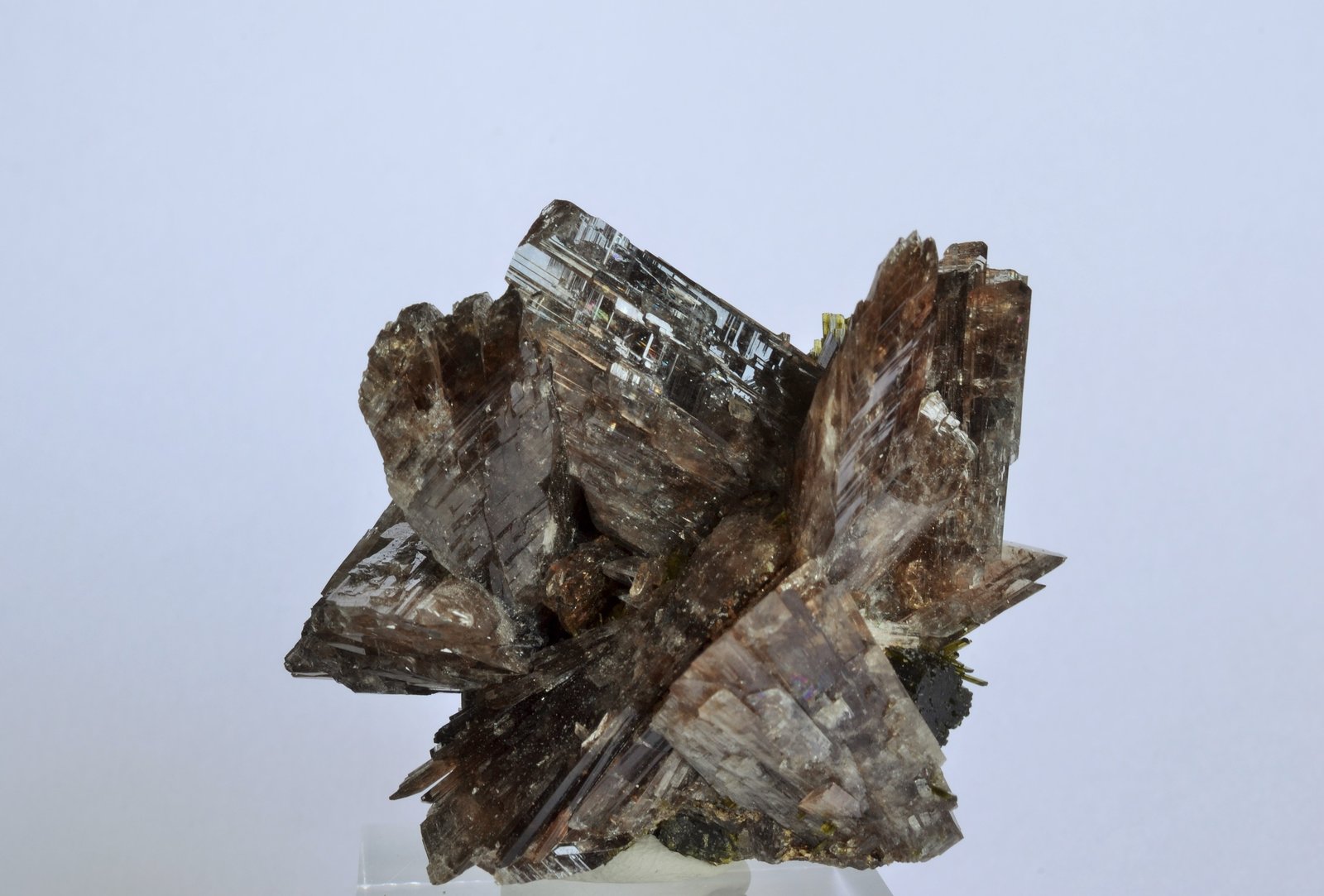 Axinita-(Mn), Epidota
5 x 4,2 x 3 cm.
(Autor: Raúl S. Llorente)