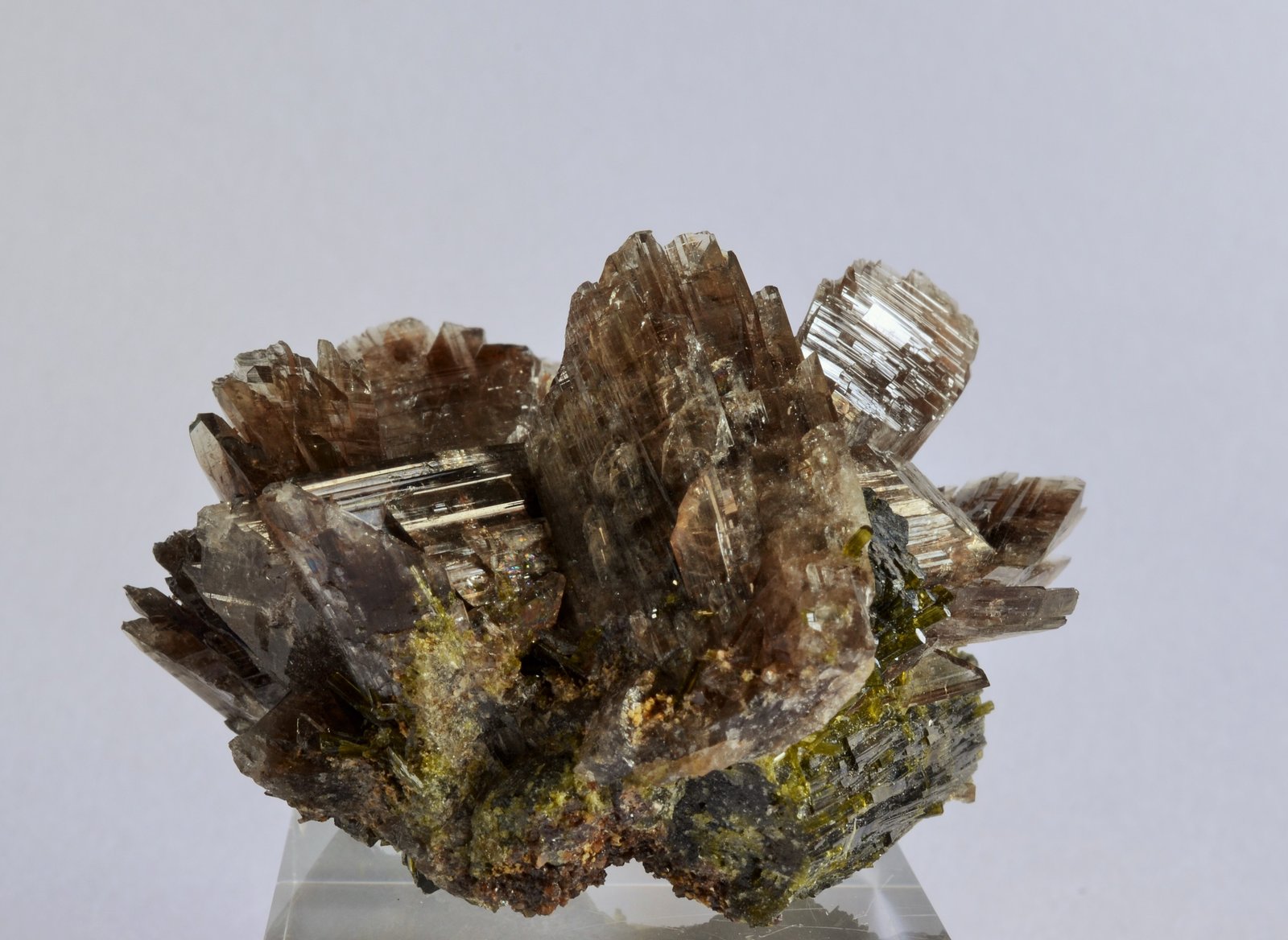 Axinita-(Mn), Epidota
5 x 4,2 x 3 cm.
(Autor: Raúl S. Llorente)