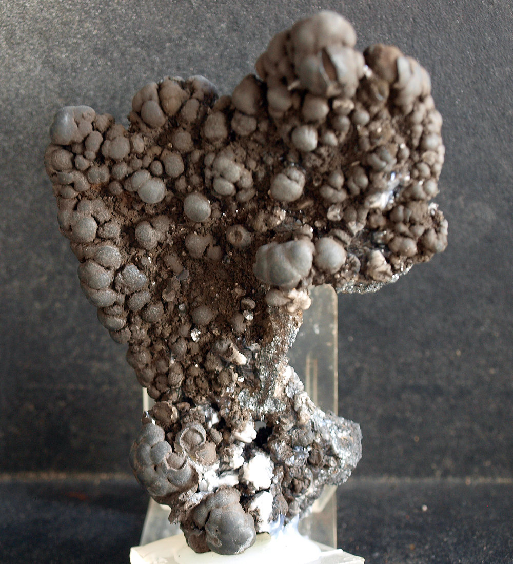 Psilomelana
10 x 7.5 cm
(Autor: Pedro Antonio)