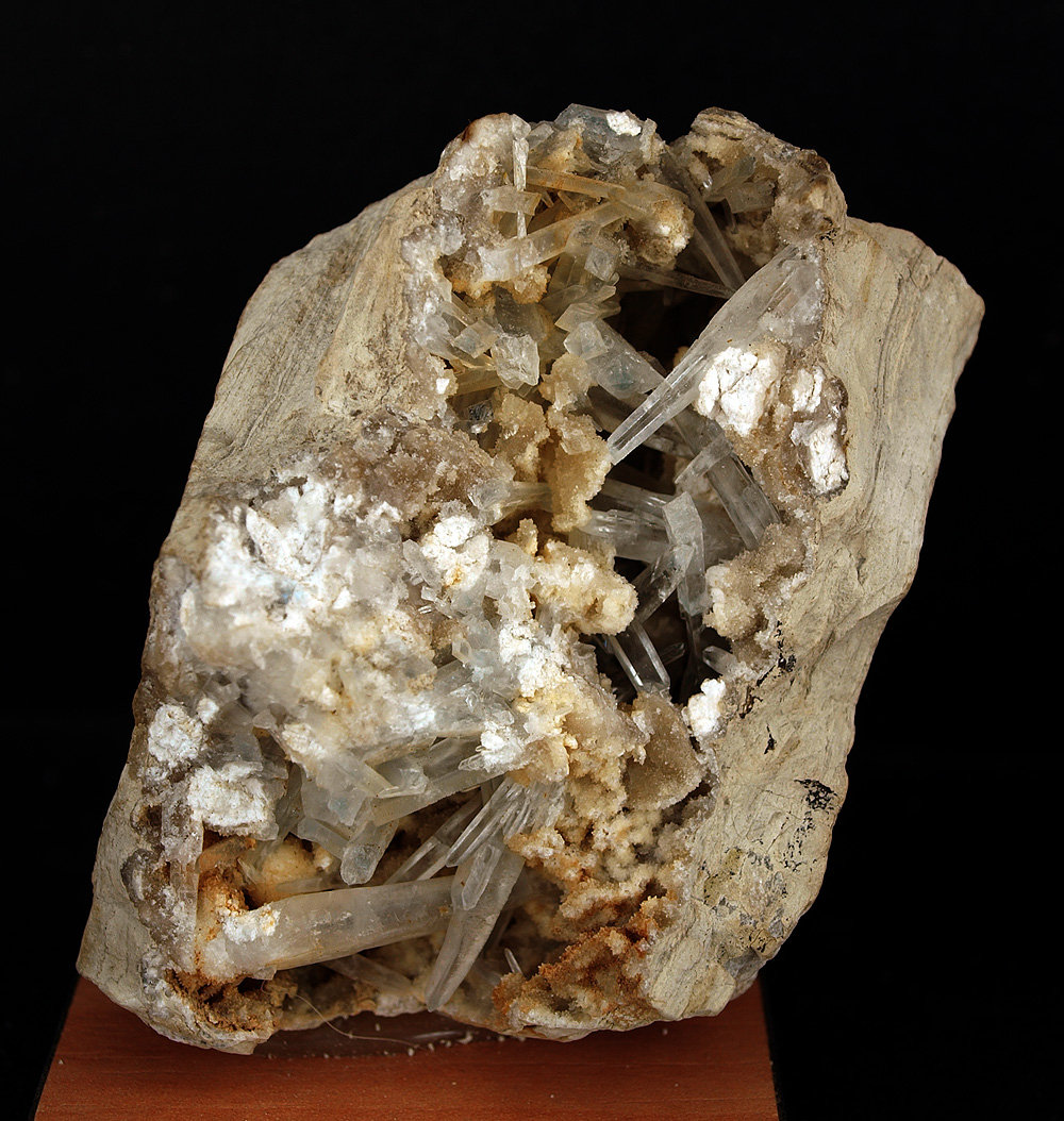 Celestina
7.5 x 5 cm
(Autor: Pedro Antonio)