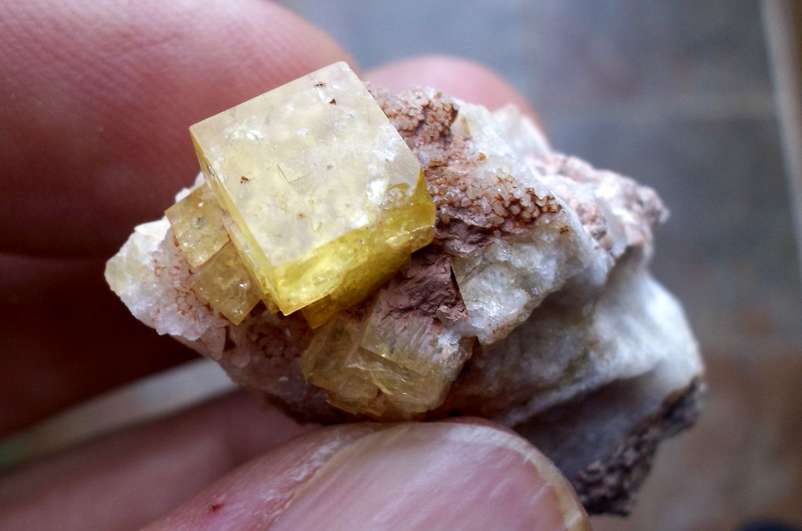 Fluorita
Cristal de 6 mm.
(Autor: Cristalino)