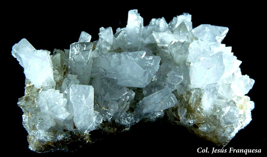 Celestina.
110x60 mm.
(Autor: Jesus Franquesa Baucells)