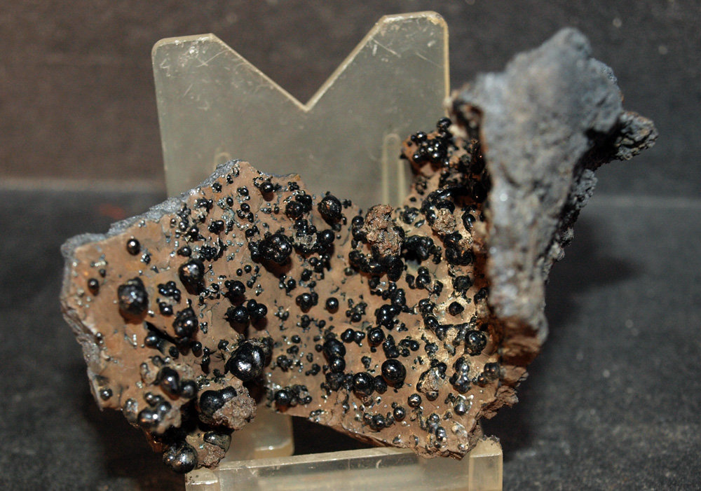 Goethita
6.5 x 5 cm
(Autor: Pedro Antonio)
