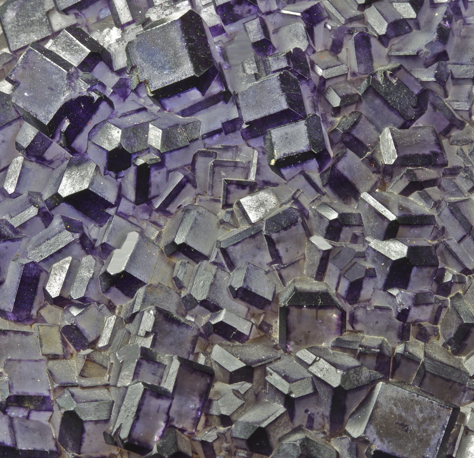 Fluorita
15,3 x 10,9 cm.
(Autor: Xavier bordas)