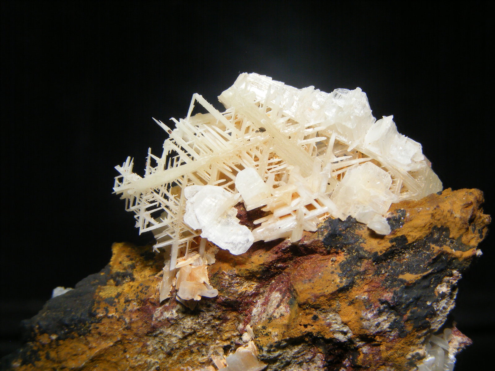 Cerusita
5cm
(Autor: yowanni)