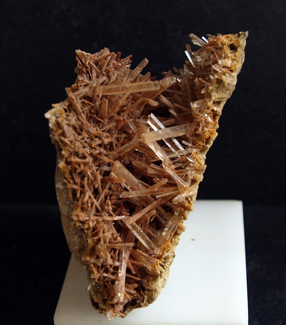 Yeso
7 x 6 cm
(Autor: Pedro Antonio)