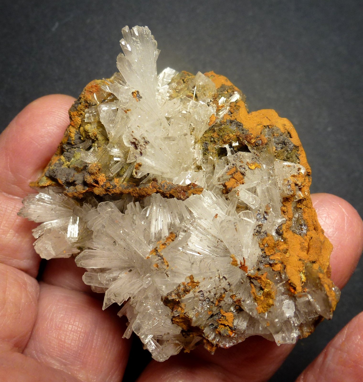 Hemimorfita, Limonita
6 x 6 cm.
(Autor: javier ruiz martin)