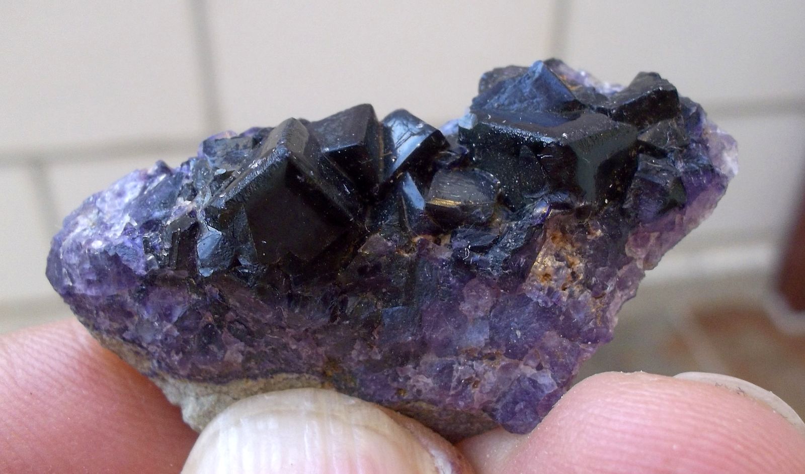 Fluorita
3,5 x 2 cm
(Autor: Cristalino)