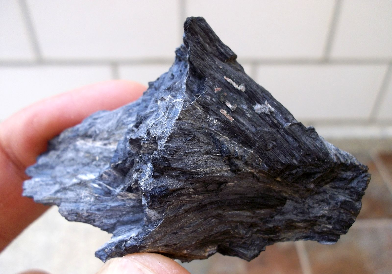 Ludwigita
5 x 3 cm
(Autor: Cristalino)