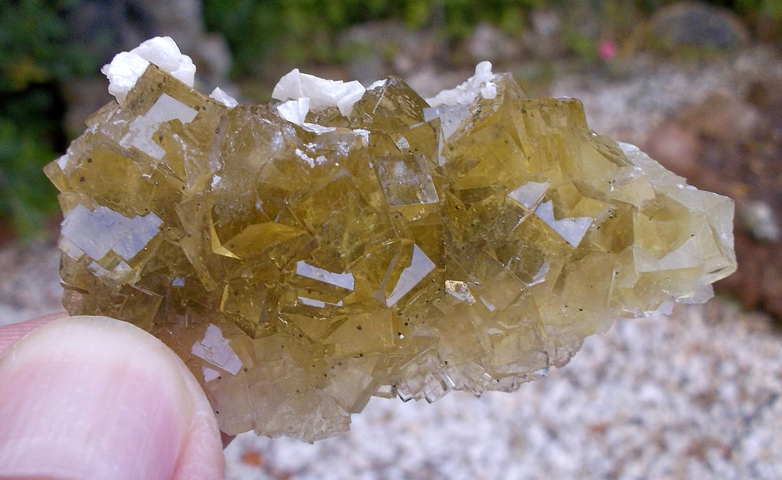 Fluorita, dolomita y pirita
5 x 3 cm
(Autor: Cristalino)